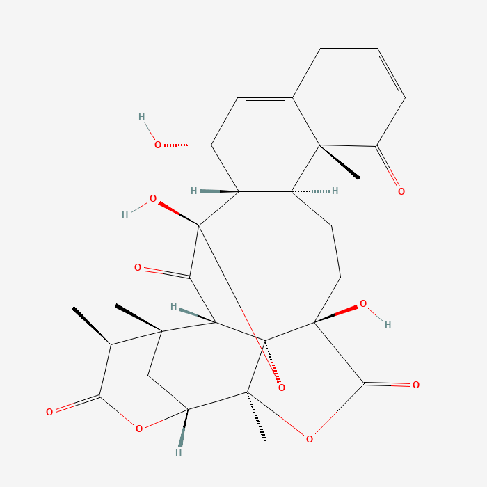 Structure