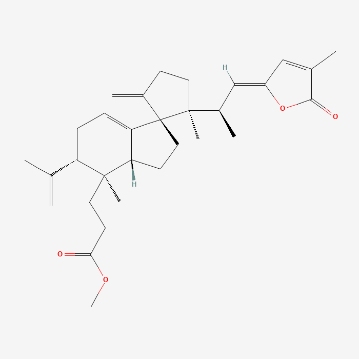 Structure
