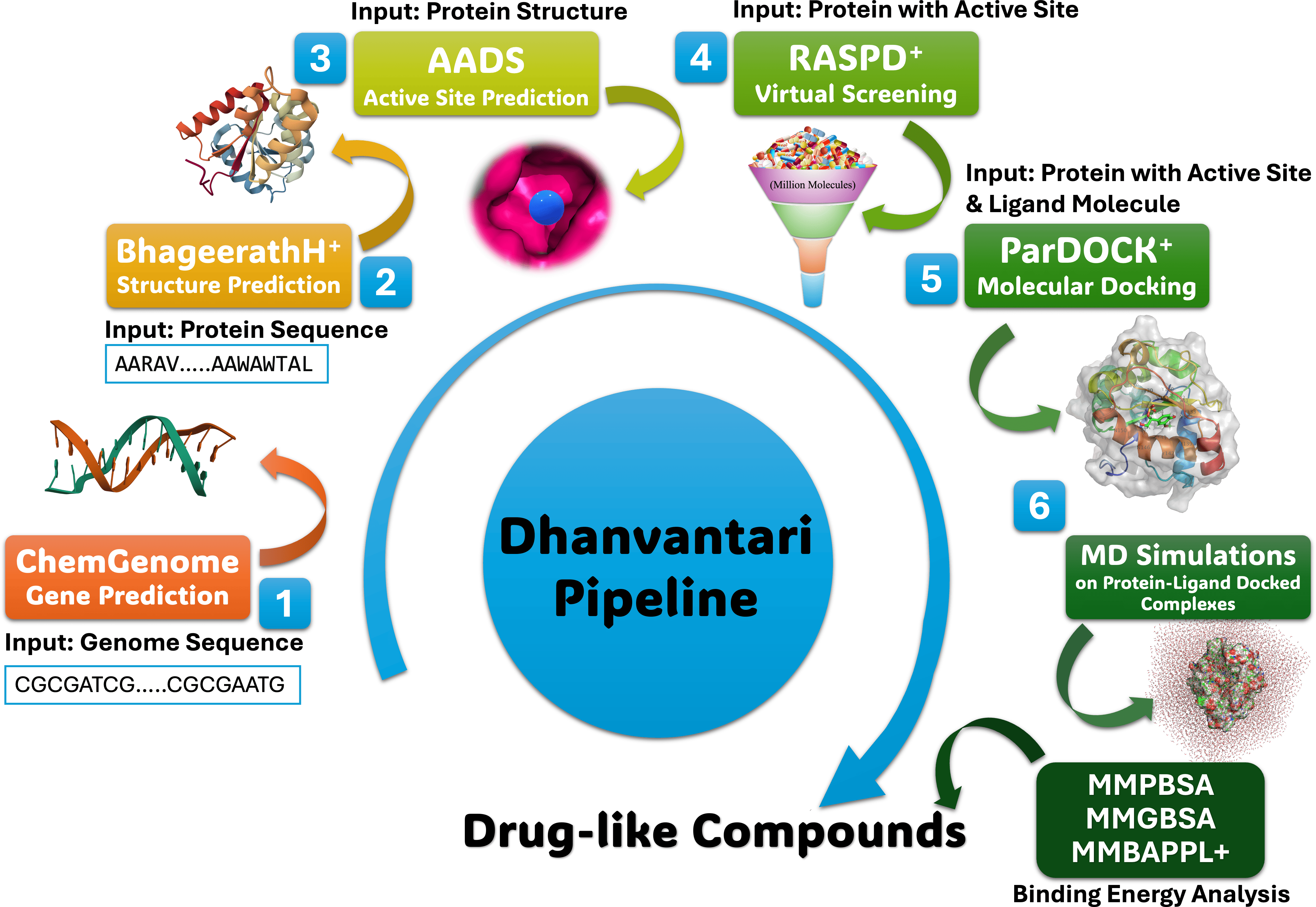 Workflow from Genome to Drug